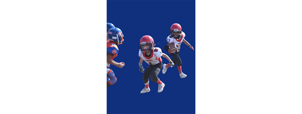 Delmar Wildcats & Laurel Bulldogs