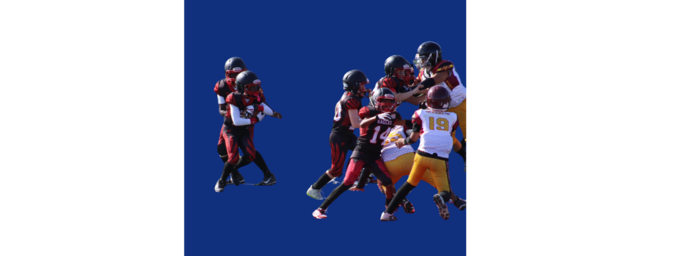 Smyrna/Clayton Eagles & Milford Bucs